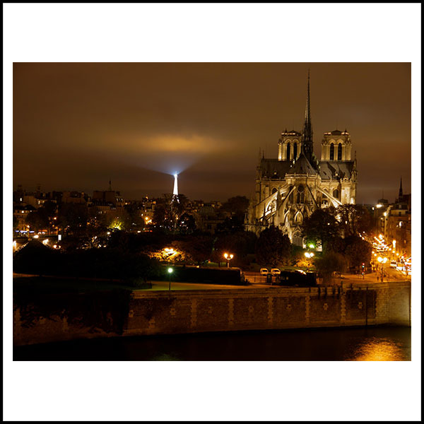 Quai d'Orleansの部屋から見た夜のノートルダム寺院とエッフェル塔
